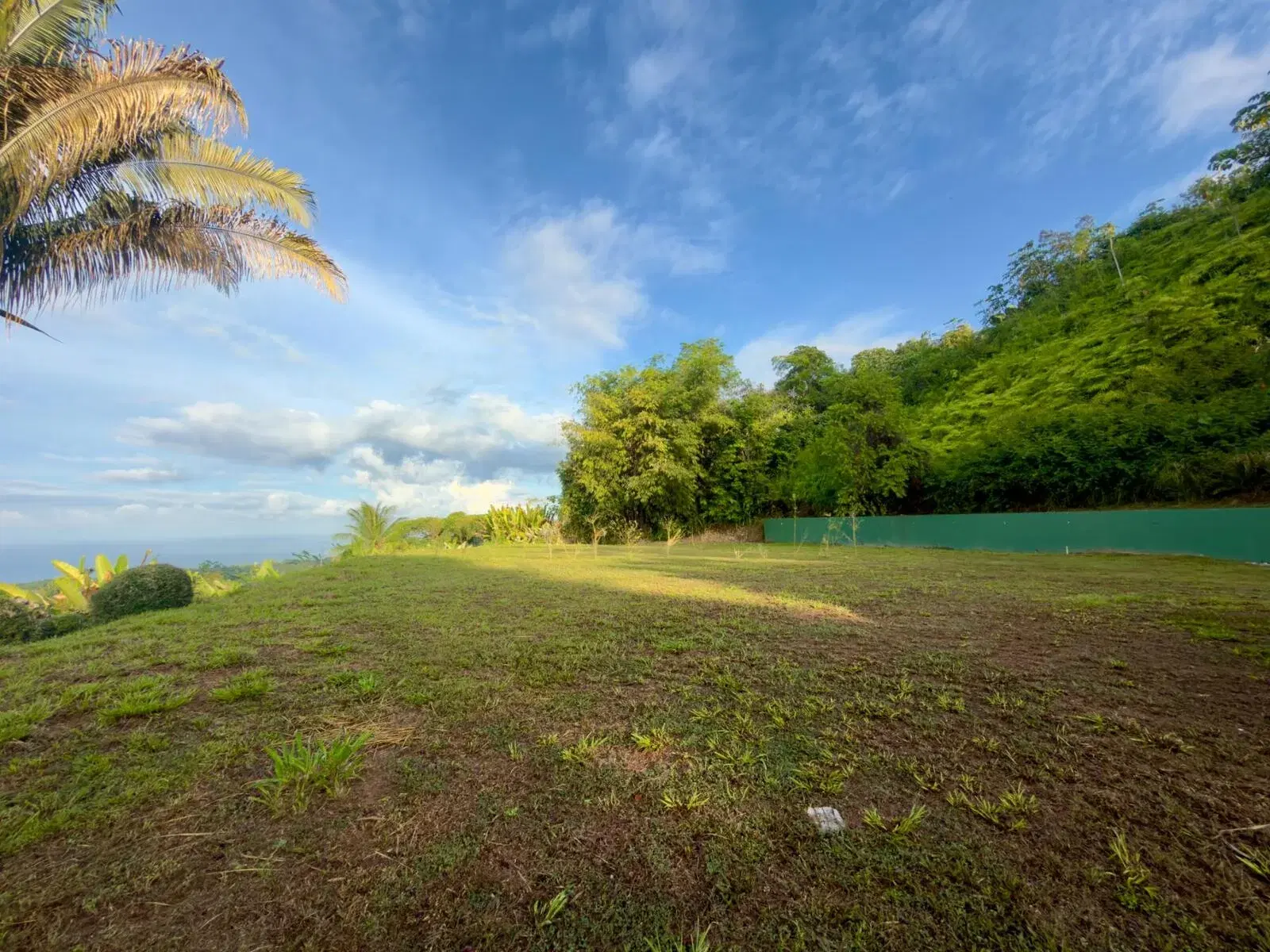 Land at Bahía Ballena