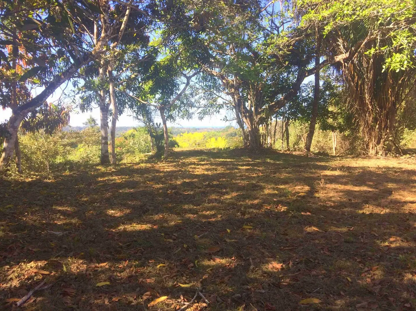 Land at Cóbano