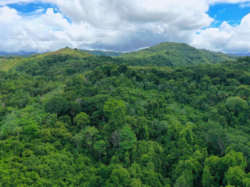 Terreno en Parrita