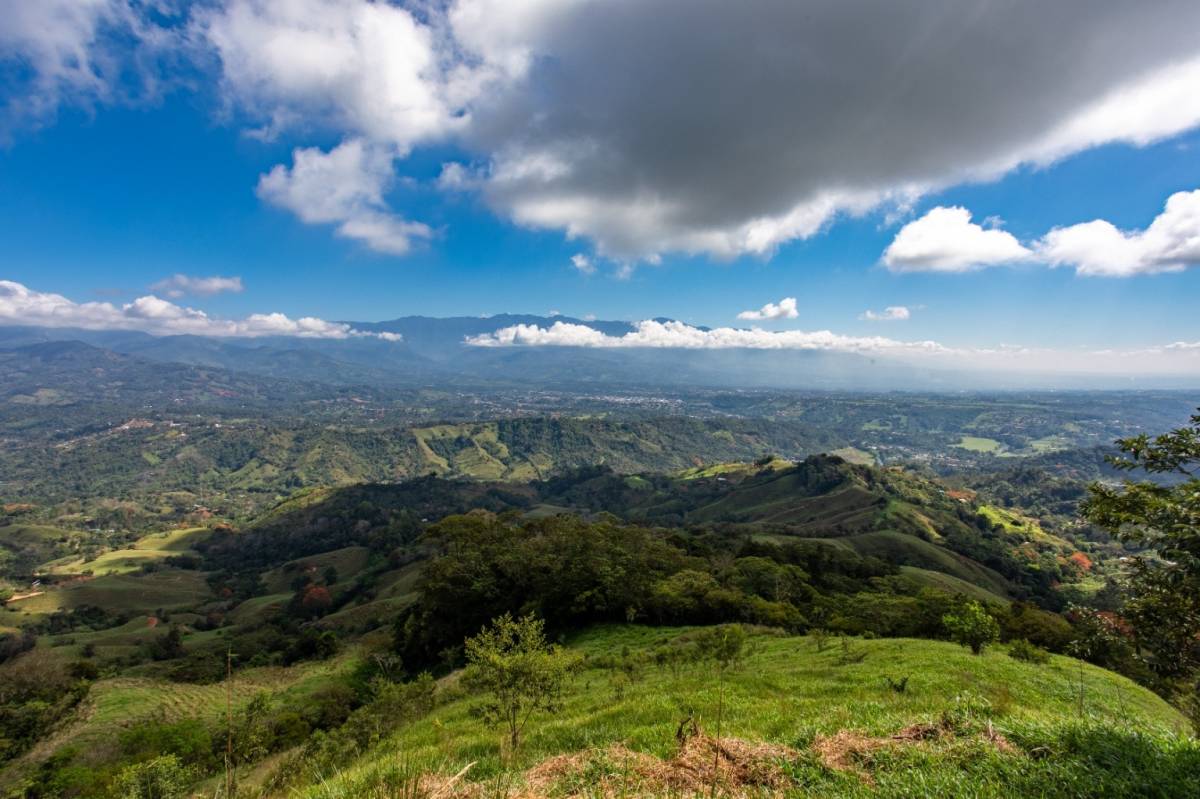 Finca en San Isidro del General