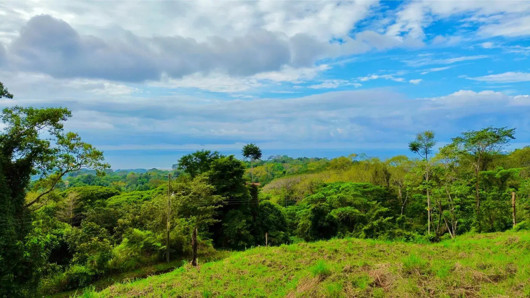 Land at Puerto Cortés
