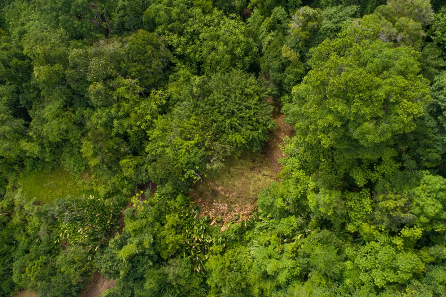Terreno en Bahía Ballena