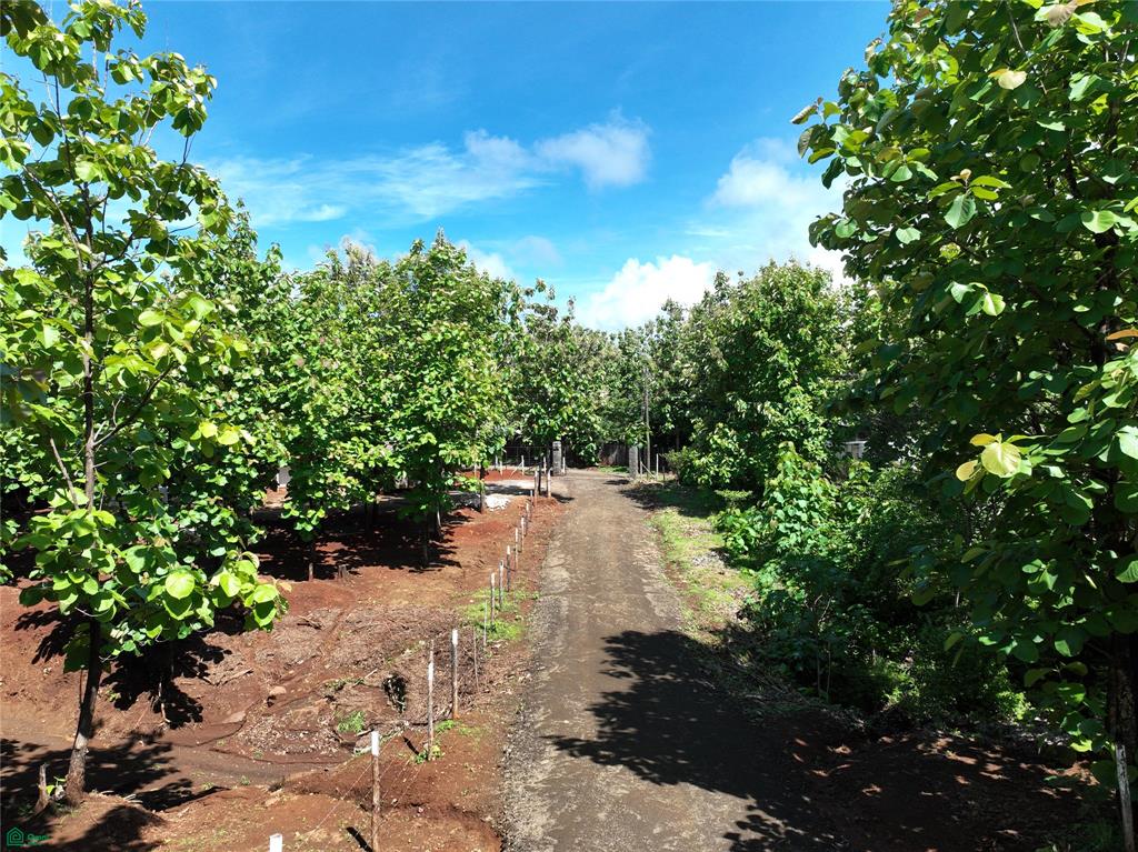 Property at Santa Cruz