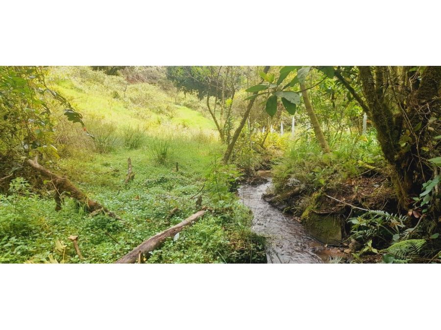 Property at San Isidro