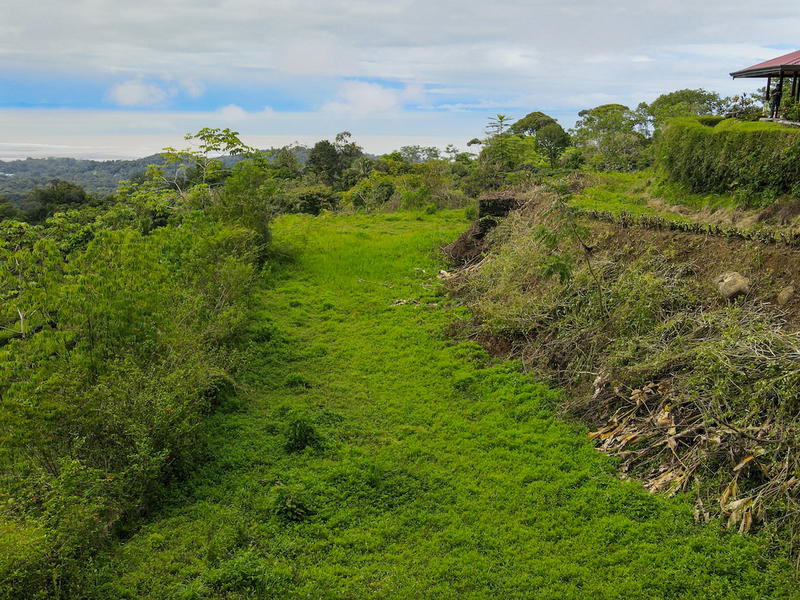 Land at Puerto Cortés