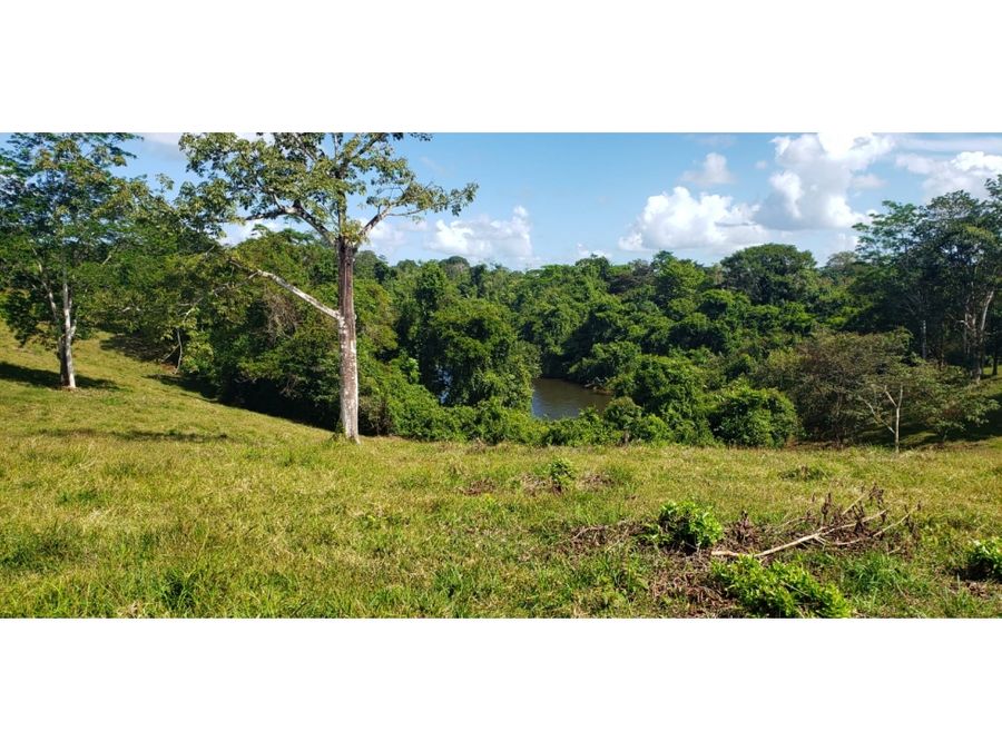 Finca en La Virgen