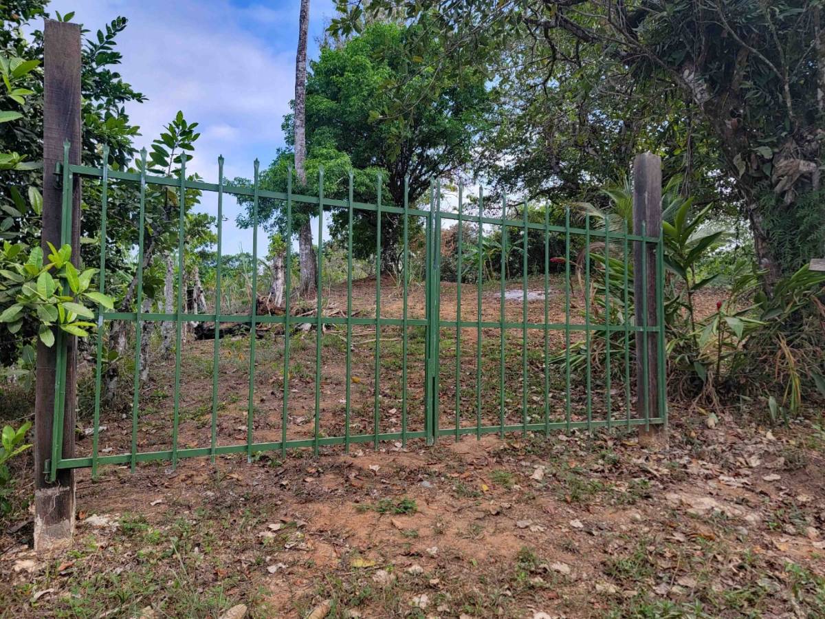 Property at Golfito