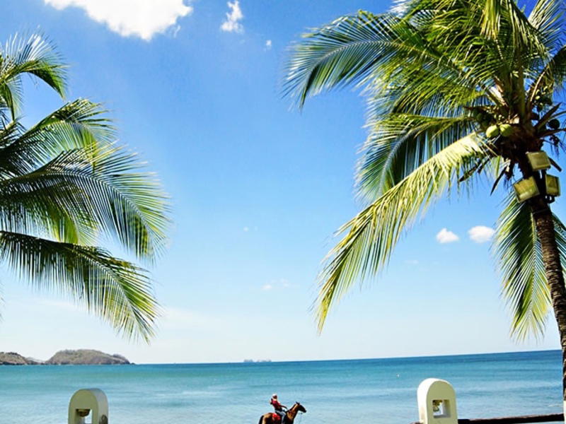 Comercial en Tempate