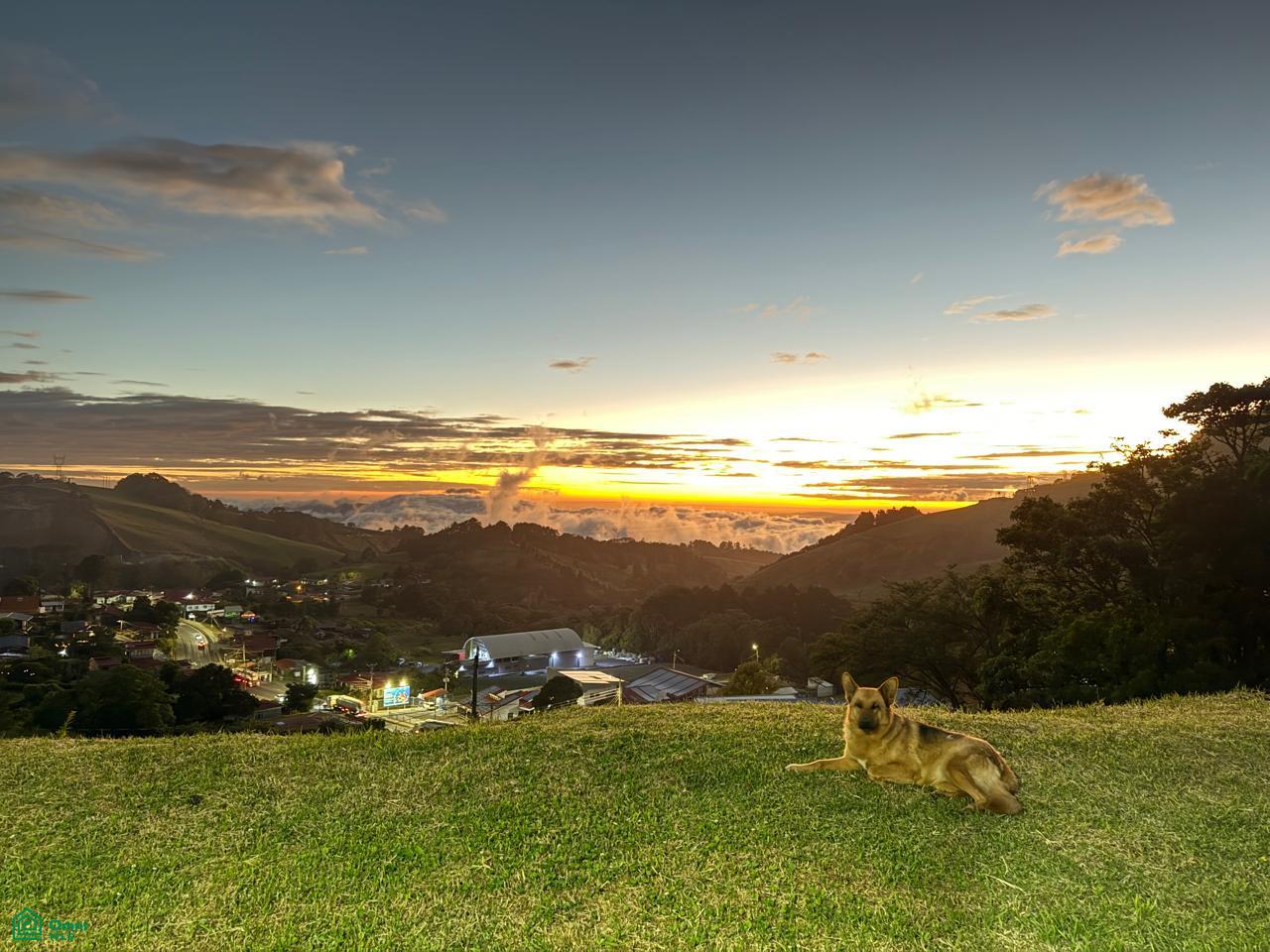Terreno en Zarcero