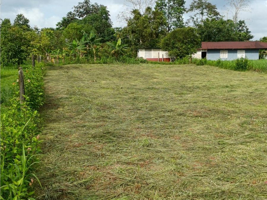 Terreno en Horquetas