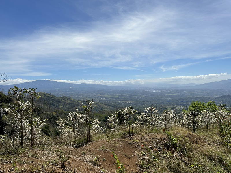 Terreno en Atenas