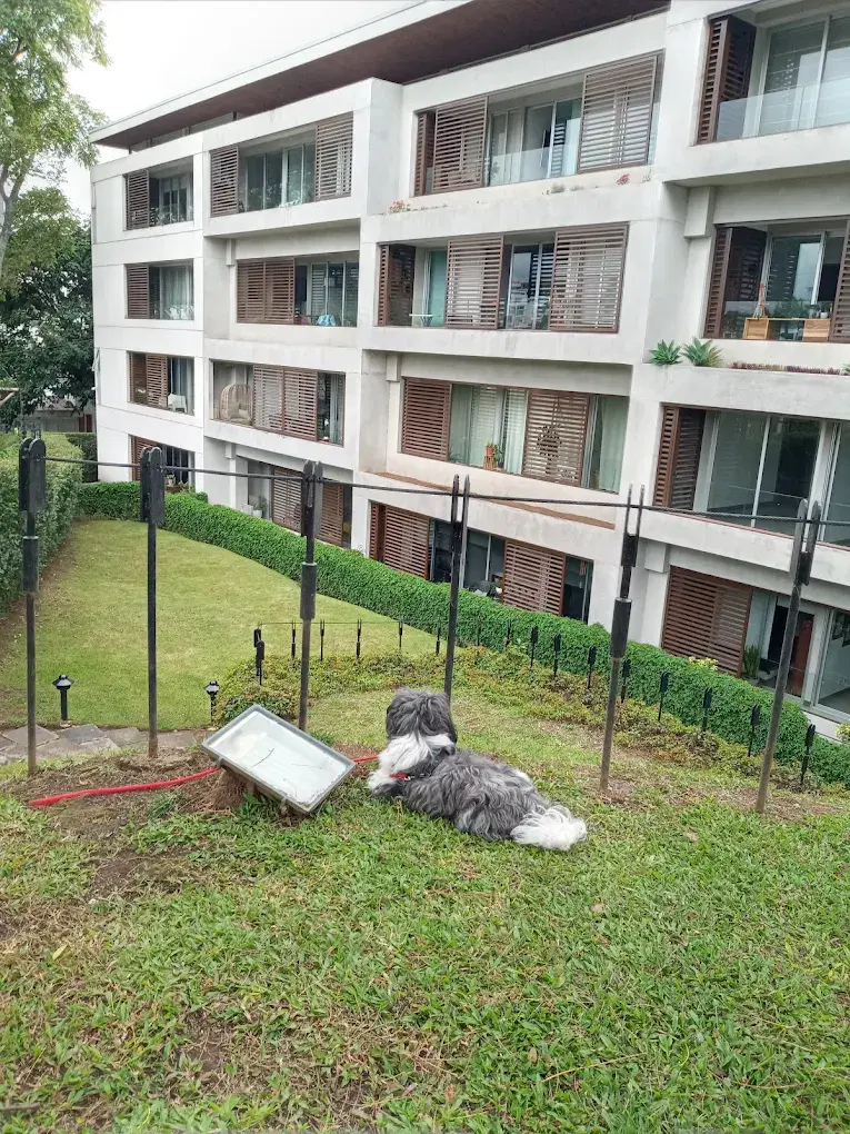 Condo highlights background