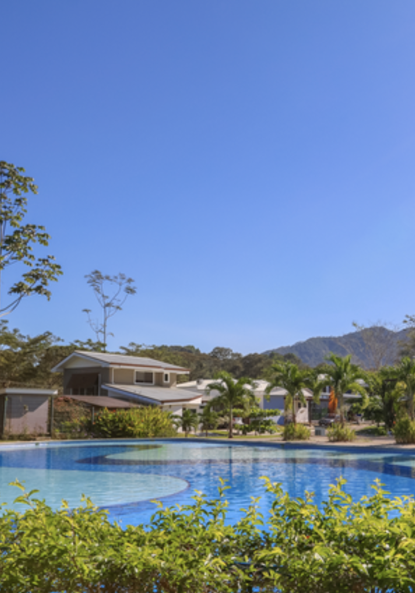 Condo highlights background